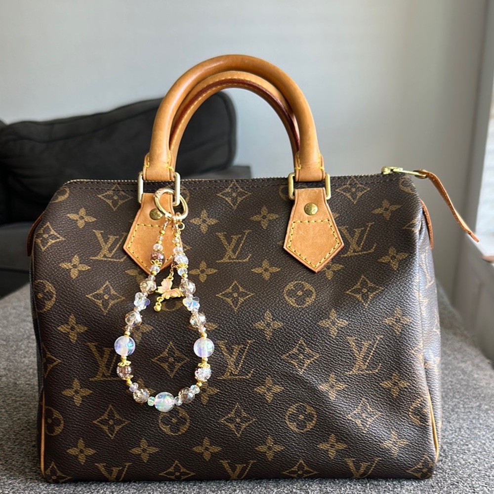 Vintage Louis Vuitton Monogram Speedy 25